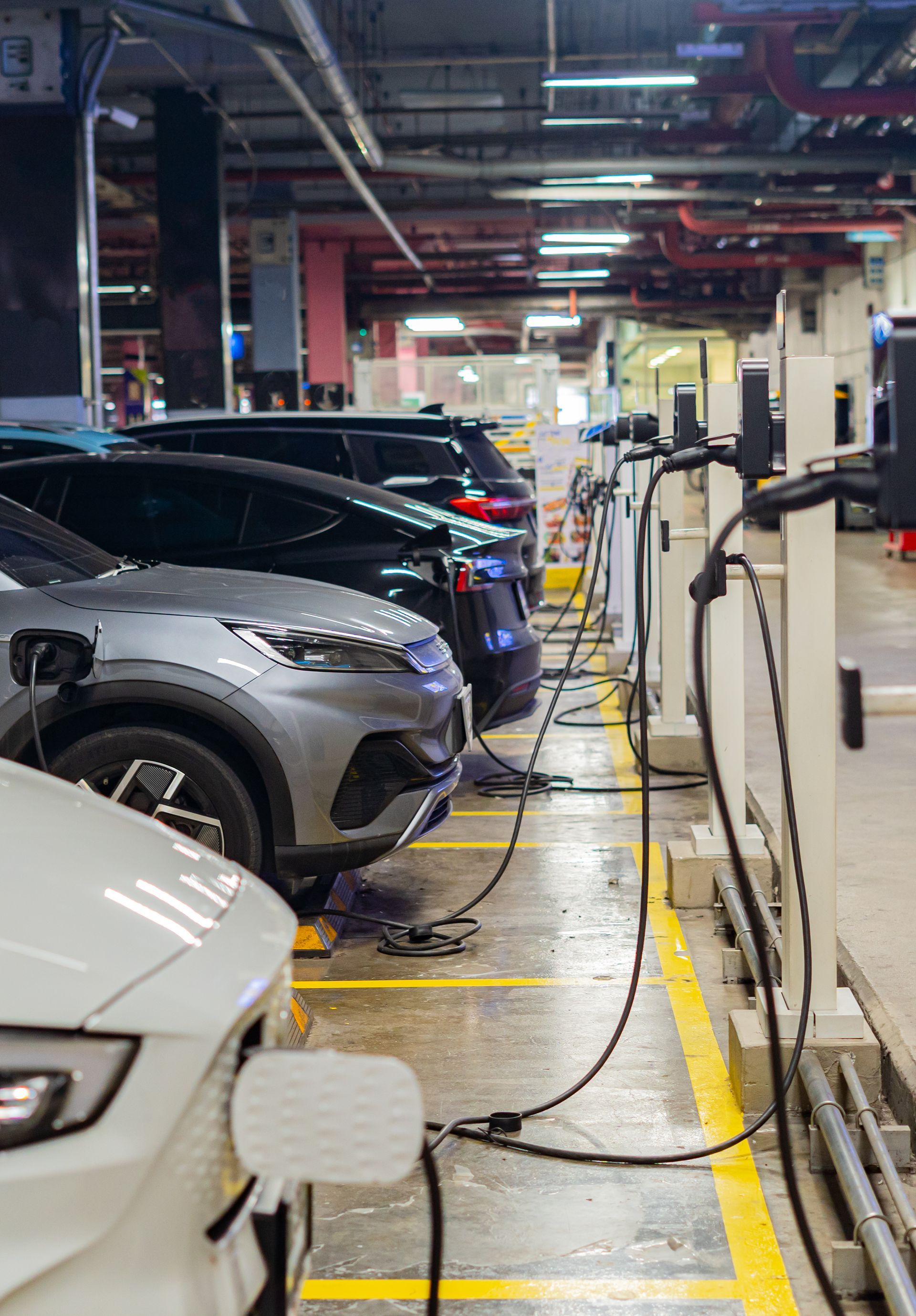 Des voitures en train d'être chargées à des bornes électriques