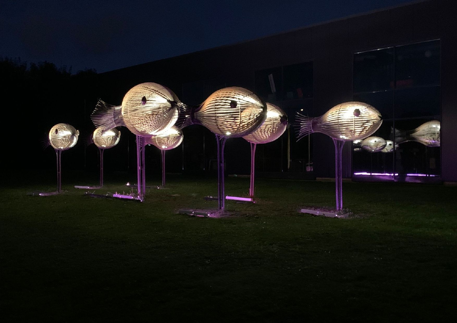 Système d'éclairage d'une décoration en forme de poissons métalliques  à l'extérieur