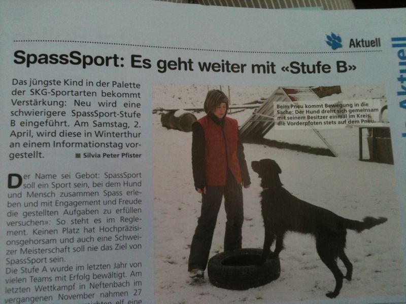 Menzi / Saner / Derendinger