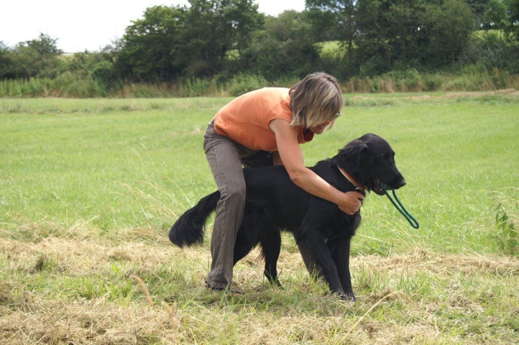 Menzi / Saner / Derendinger