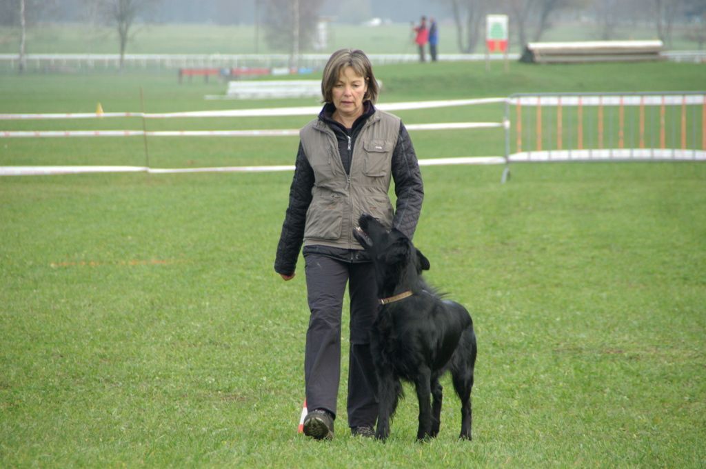 Menzi / Saner / Derendinger