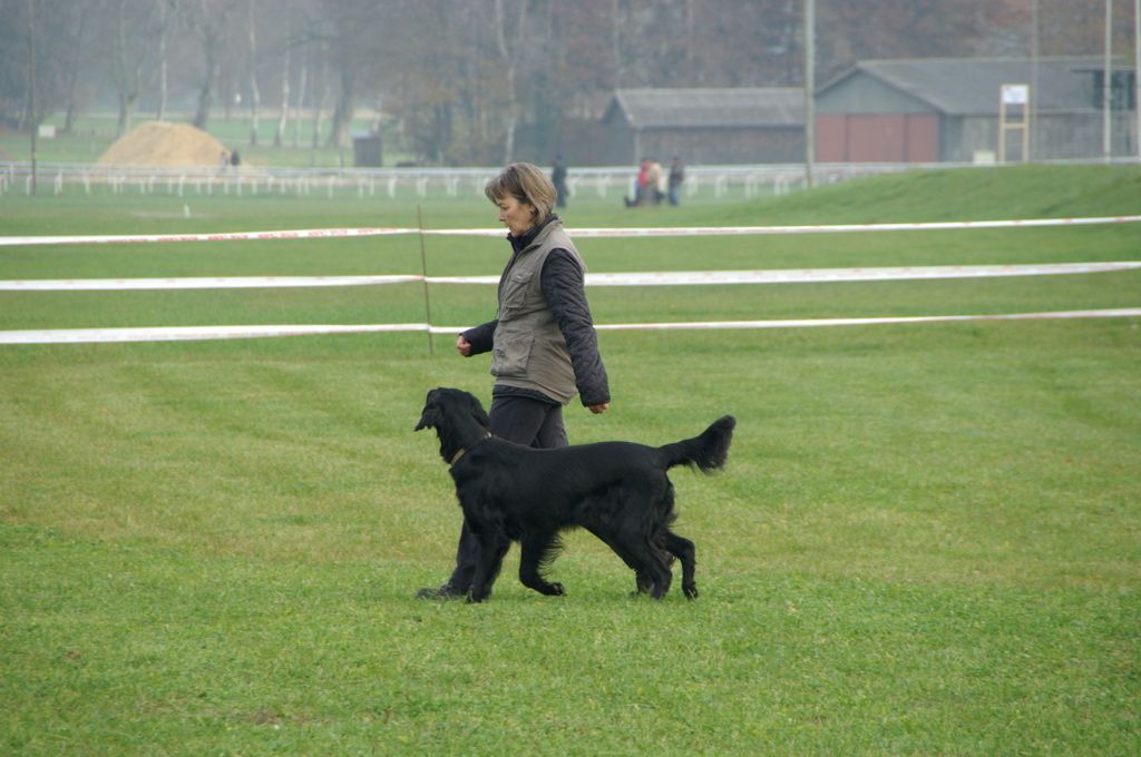 Menzi / Saner / Derendinger