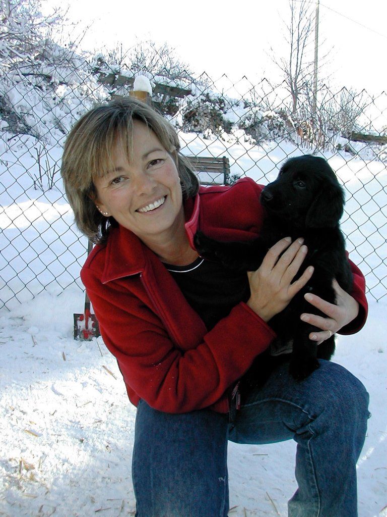 Menzi / Saner / Derendinger