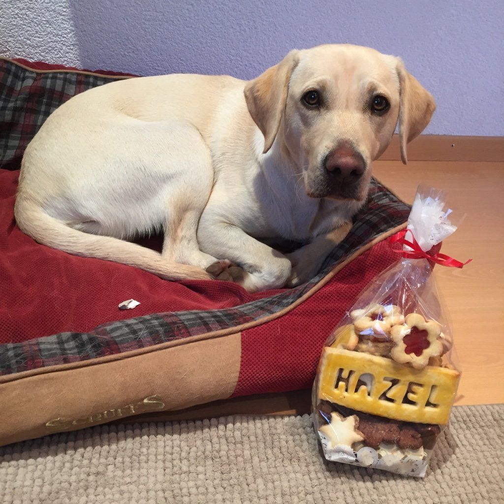 Menzi / Saner / Derendinger