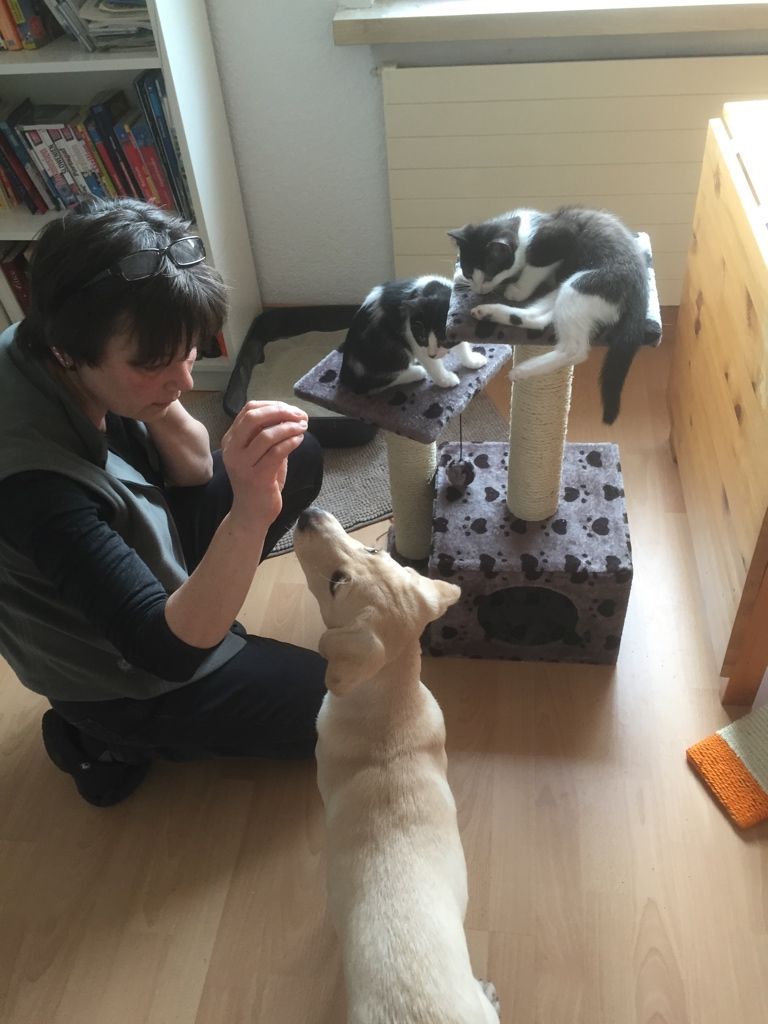 Menzi / Saner / Derendinger