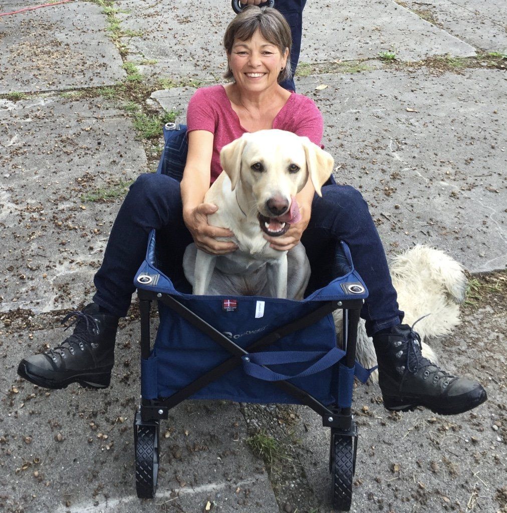 Menzi / Saner / Derendinger