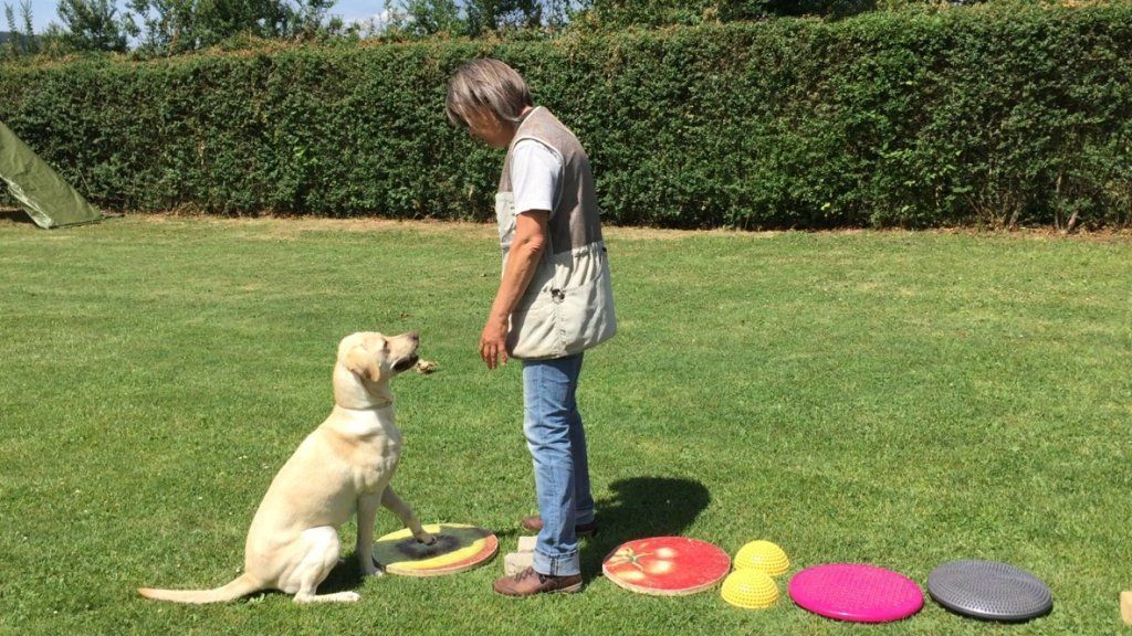 Menzi / Saner / Derendinger