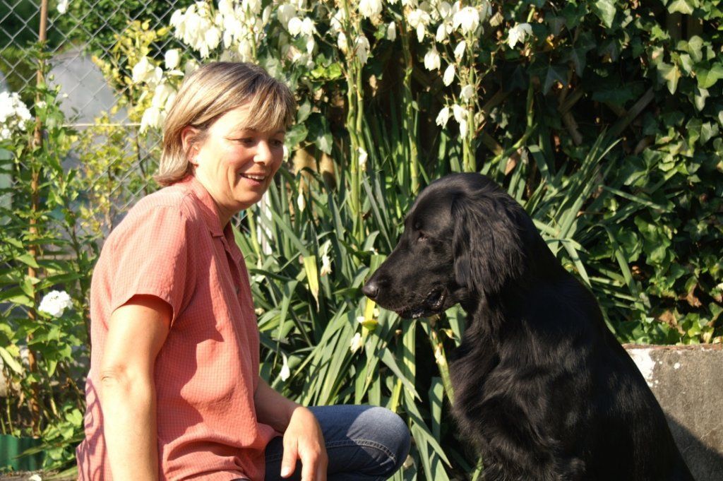 Menzi / Saner / Derendinger