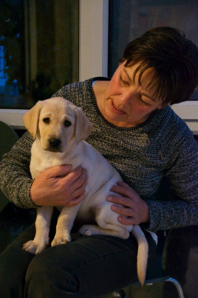 Menzi / Saner / Derendinger