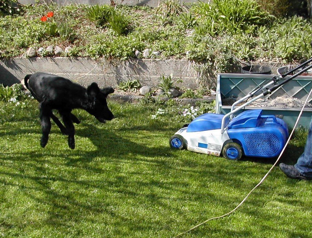 Menzi / Saner / Derendinger