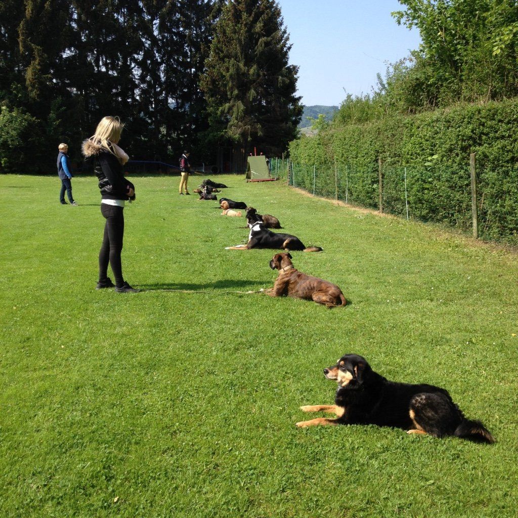 Menzi / Saner / Derendinger