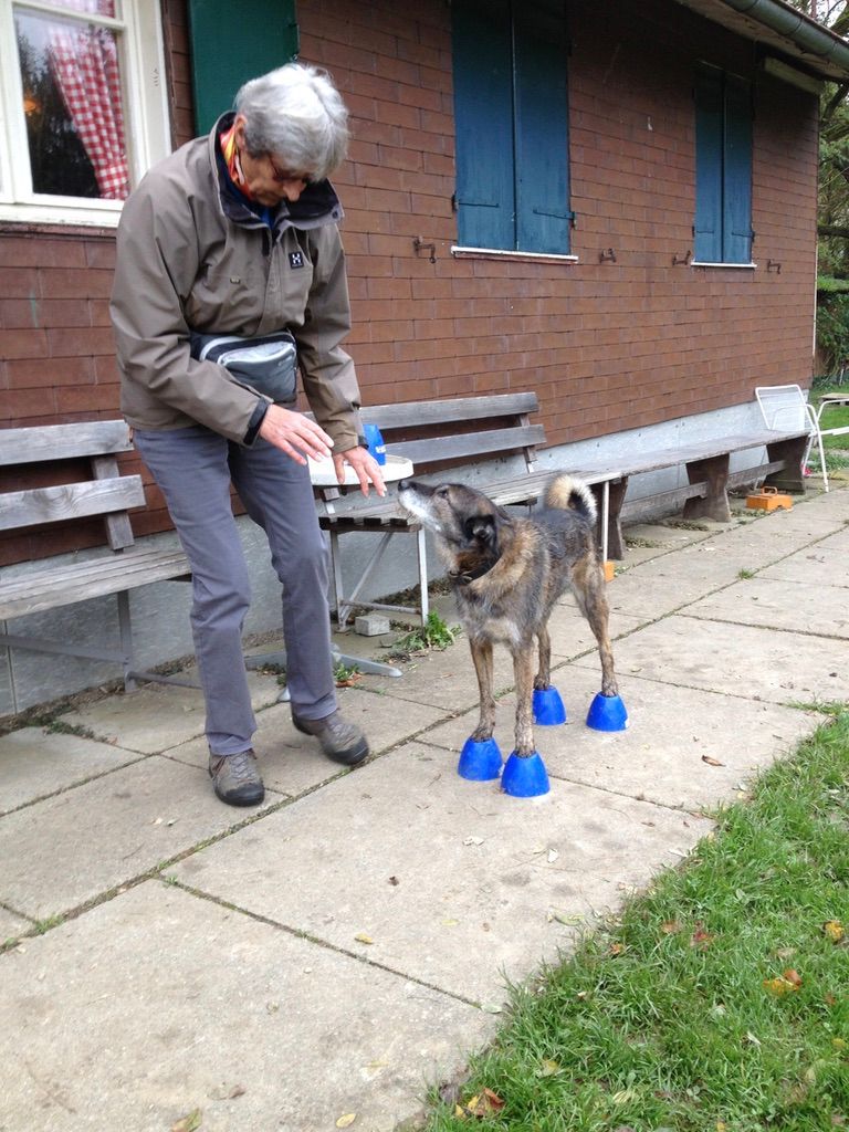 Menzi / Saner / Derendinger