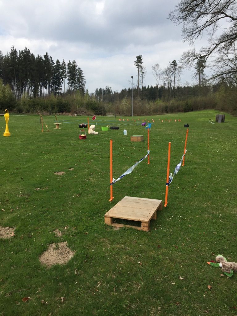 Menzi / Saner / Derendinger