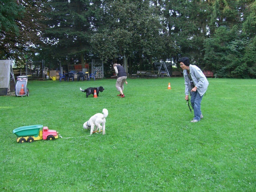 Menzi / Saner / Derendinger