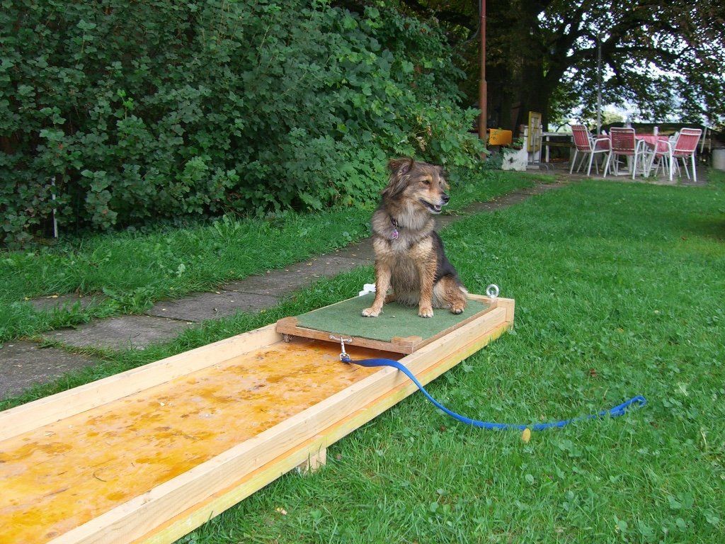 Menzi / Saner / Derendinger