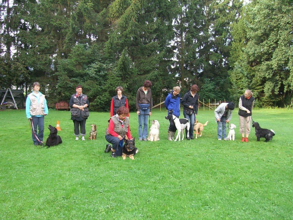 Menzi / Saner / Derendinger