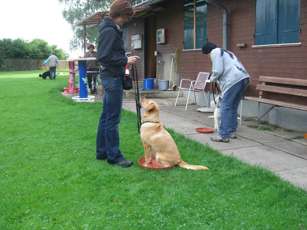 Menzi / Saner / Derendinger