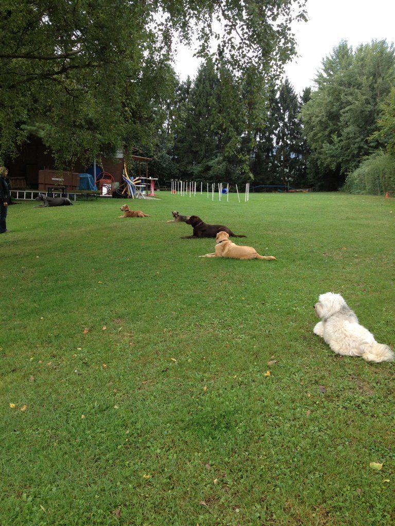 Menzi / Saner / Derendinger