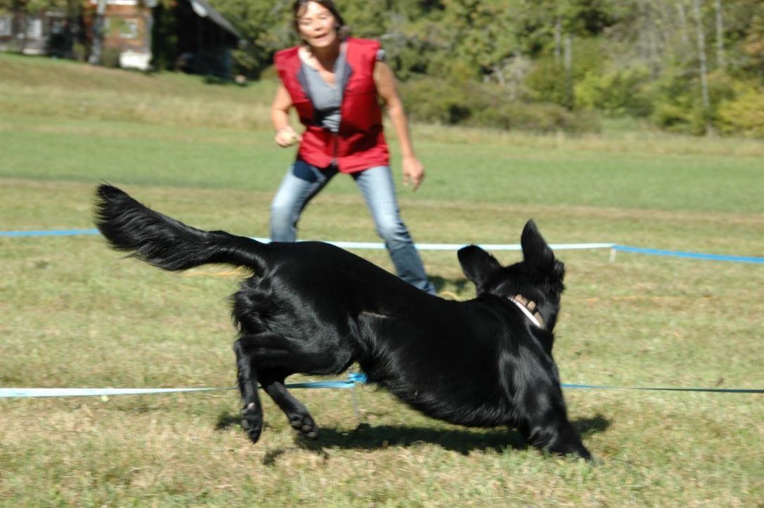 Menzi / Saner / Derendinger