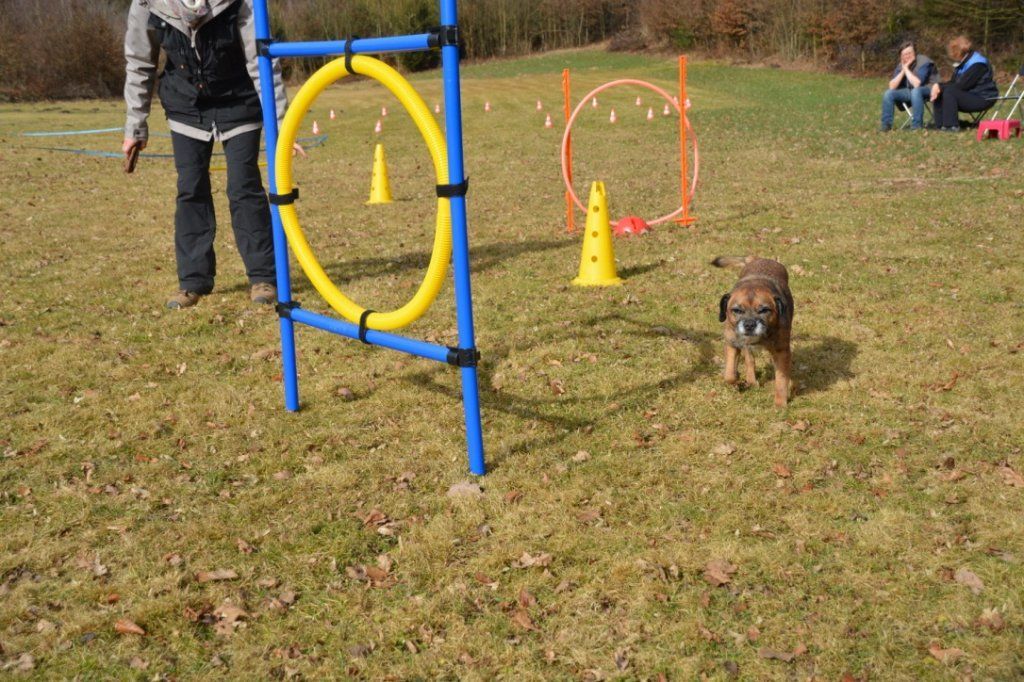 Menzi / Saner / Derendinger