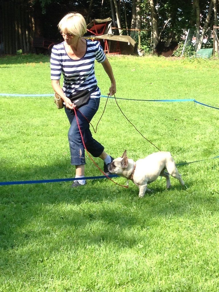 Menzi / Saner / Derendinger