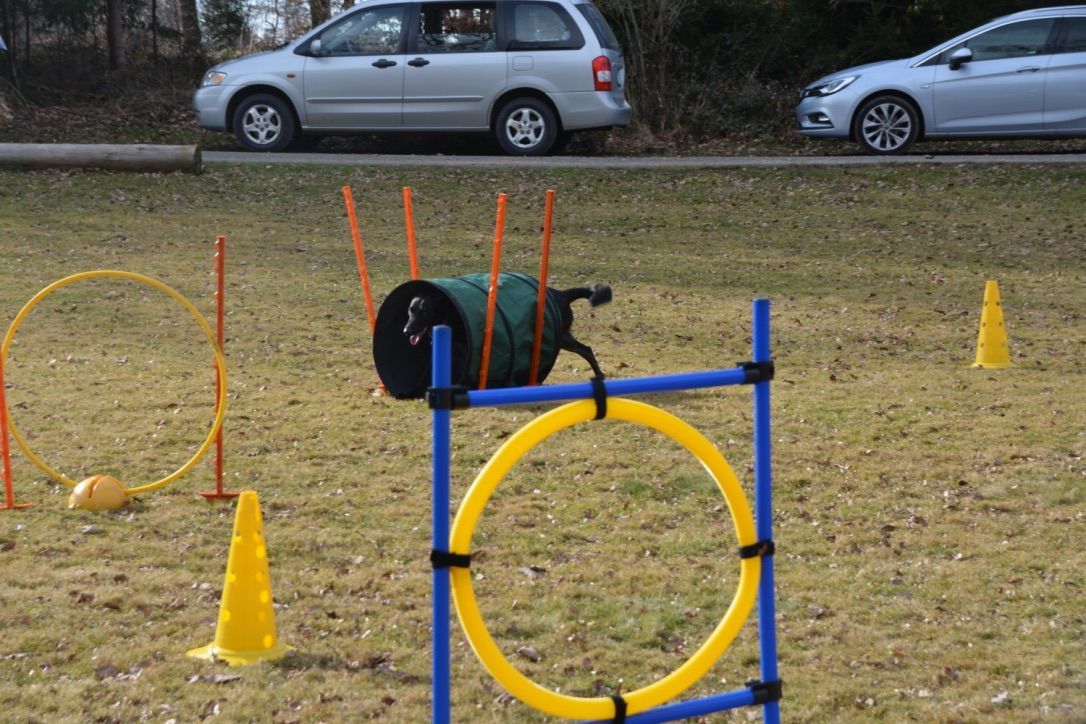 Menzi / Saner / Derendinger