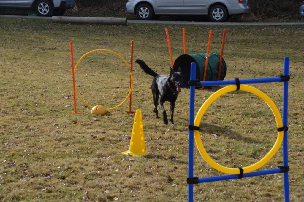 Menzi / Saner / Derendinger