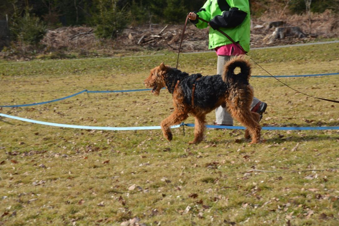 Menzi / Saner / Derendinger