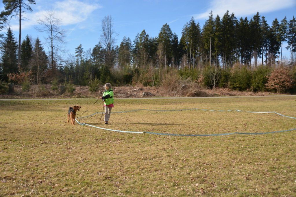 Menzi / Saner / Derendinger