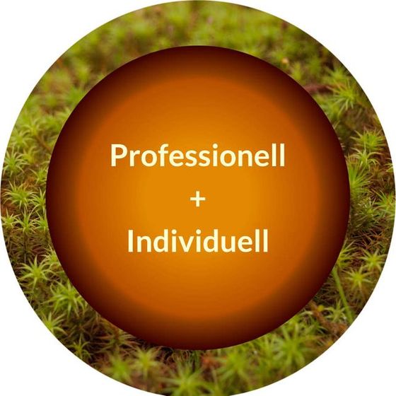 Professionell + Individuell