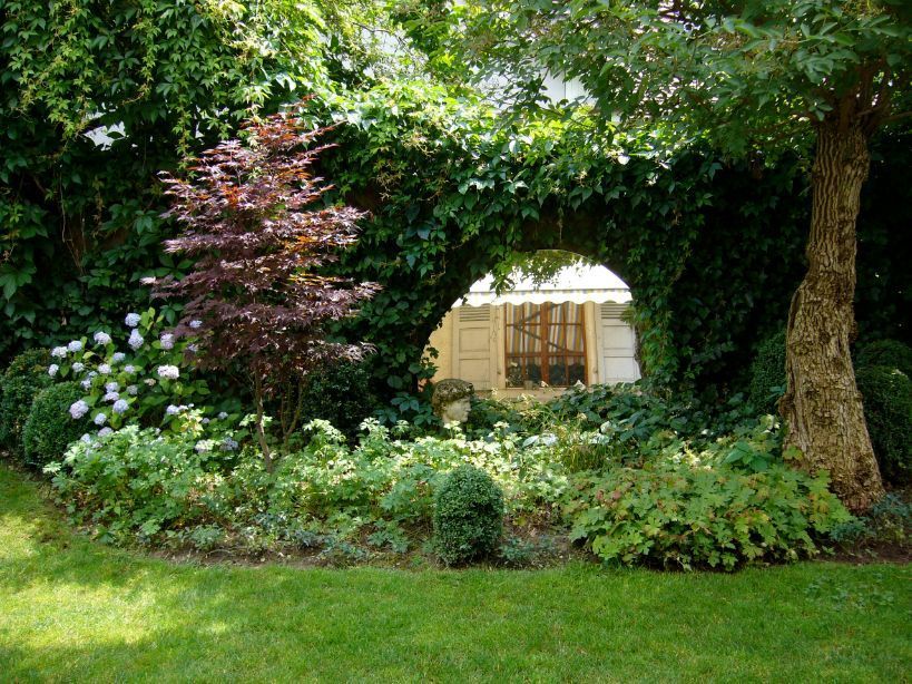 Pflanzungen - Gabrielli Gartengestaltung & -unterhalt - Münchenstein