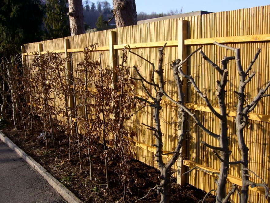 Holz - Gabrielli Gartengestaltung & -unterhalt - Münchenstein