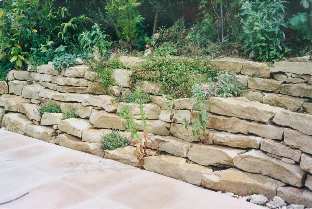 Pflanzungen - Gabrielli Gartengestaltung & -unterhalt - Münchenstein