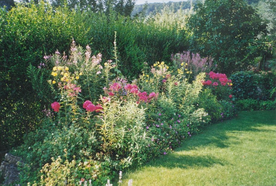 Pflanzungen - Gabrielli Gartengestaltung & -unterhalt - Münchenstein