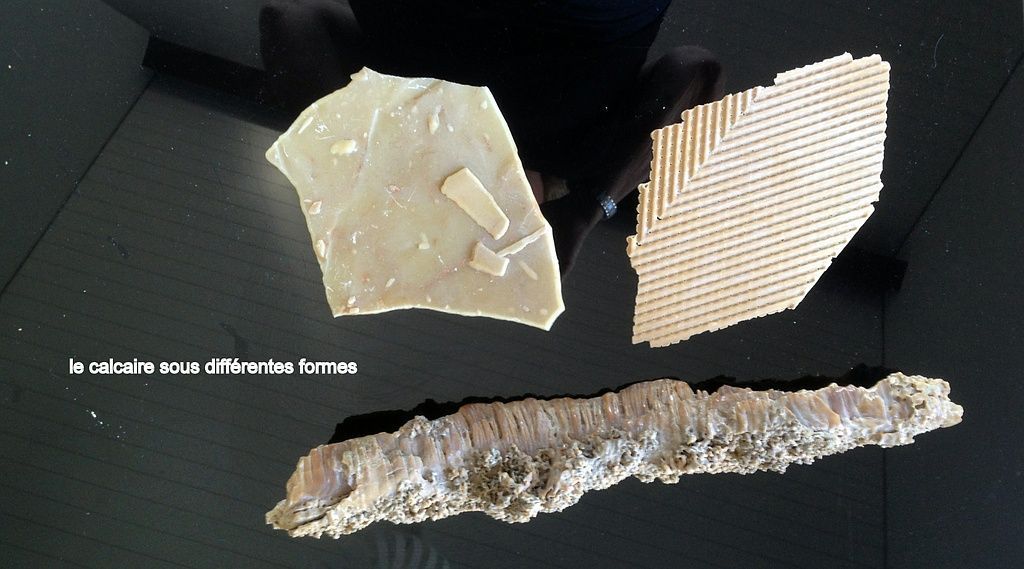 Aquaplus Service Sàrl - Traitement de l'eau - Chézard-Saint-Martin