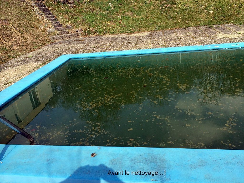 une piscine avant le nettoyage