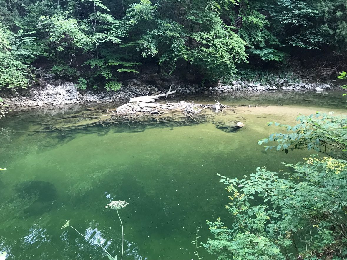 AQUAPLUS SERVICE SÀRL