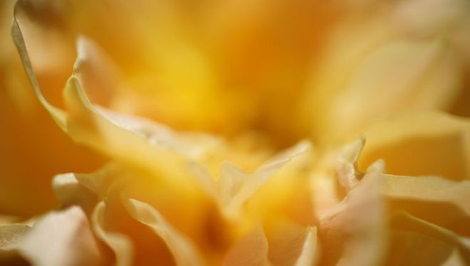 Coaching - Ursina Eggmann - Winterthur