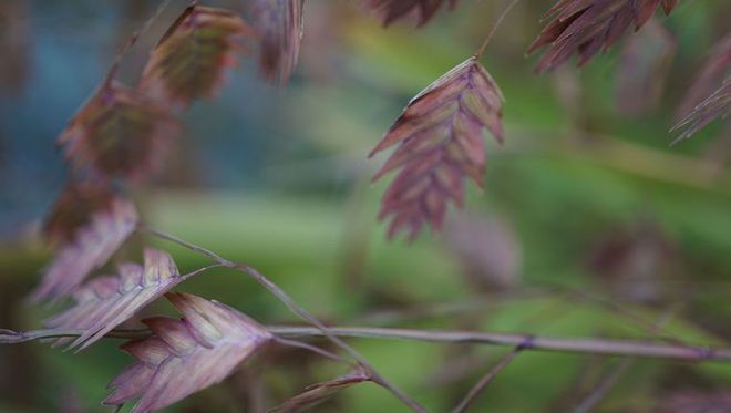 Somatic Experiencing - Ursina Eggmann - Winterthur