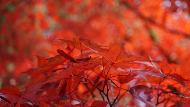 Therapie - Ursina Eggmann - Winterthur