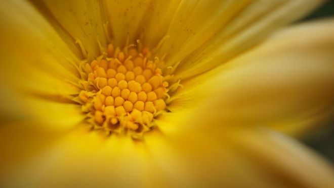 Familienaufstellungen - Ursina Eggmann - Winterthur