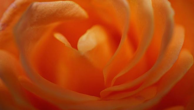 Craniosacral-Therapie - Ursina Eggmann - Winterthur