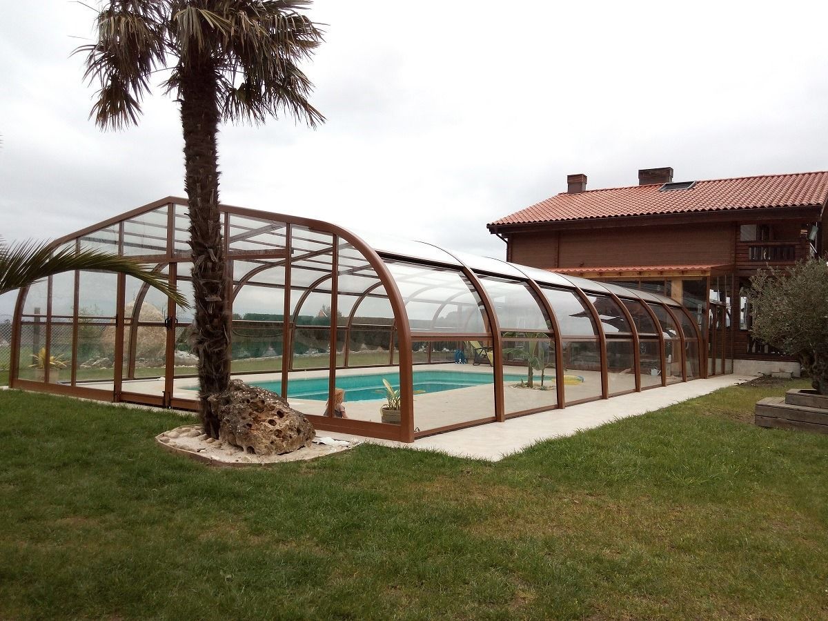 Una gran piscina con techo transparente y una palmera delante de una casa.