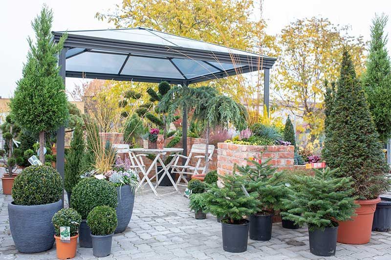 Gärtnerei + Floristik Peter Müller, Bad Königshofen - OT Merkershausen | Qualität, Sortenvielfalt und die individuelle Beratung kreative Grabgestaltung. breites Spektrum an mediterranen Pflanzen an. ausgebildeter Floristen Kreativität und Fachkompetenz. Floristische Werkstücke zu allen Jahreszeiten sowie Trauer- und Hochzeitsfloristik