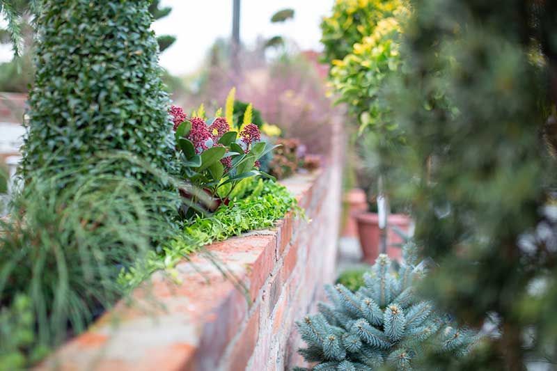 Gärtnerei + Floristik Peter Müller, Bad Königshofen - OT Merkershausen | Qualität, Sortenvielfalt und die individuelle Beratung kreative Grabgestaltung. breites Spektrum an mediterranen Pflanzen an. ausgebildeter Floristen Kreativität und Fachkompetenz. Floristische Werkstücke zu allen Jahreszeiten sowie Trauer- und Hochzeitsfloristik
