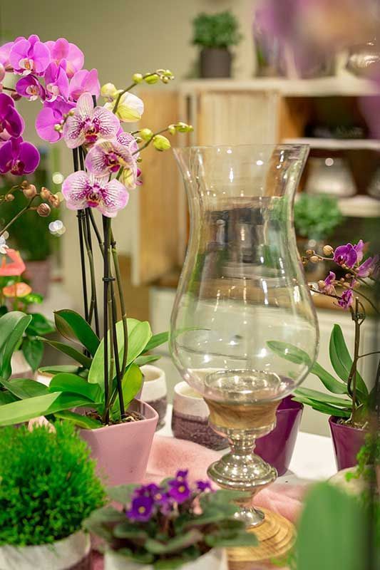 Gärtnerei + Floristik Peter Müller, Bad Königshofen - OT Merkershausen | Qualität, Sortenvielfalt und die individuelle Beratung kreative Grabgestaltung. breites Spektrum an mediterranen Pflanzen an. ausgebildeter Floristen Kreativität und Fachkompetenz. Floristische Werkstücke zu allen Jahreszeiten sowie Trauer- und Hochzeitsfloristik