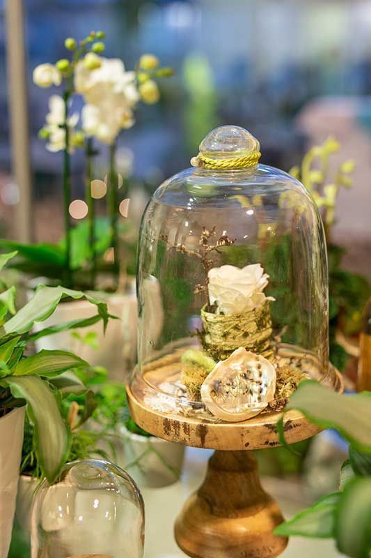 Gärtnerei + Floristik Peter Müller, Bad Königshofen - OT Merkershausen | Qualität, Sortenvielfalt und die individuelle Beratung kreative Grabgestaltung. breites Spektrum an mediterranen Pflanzen an. ausgebildeter Floristen Kreativität und Fachkompetenz. Floristische Werkstücke zu allen Jahreszeiten sowie Trauer- und Hochzeitsfloristik