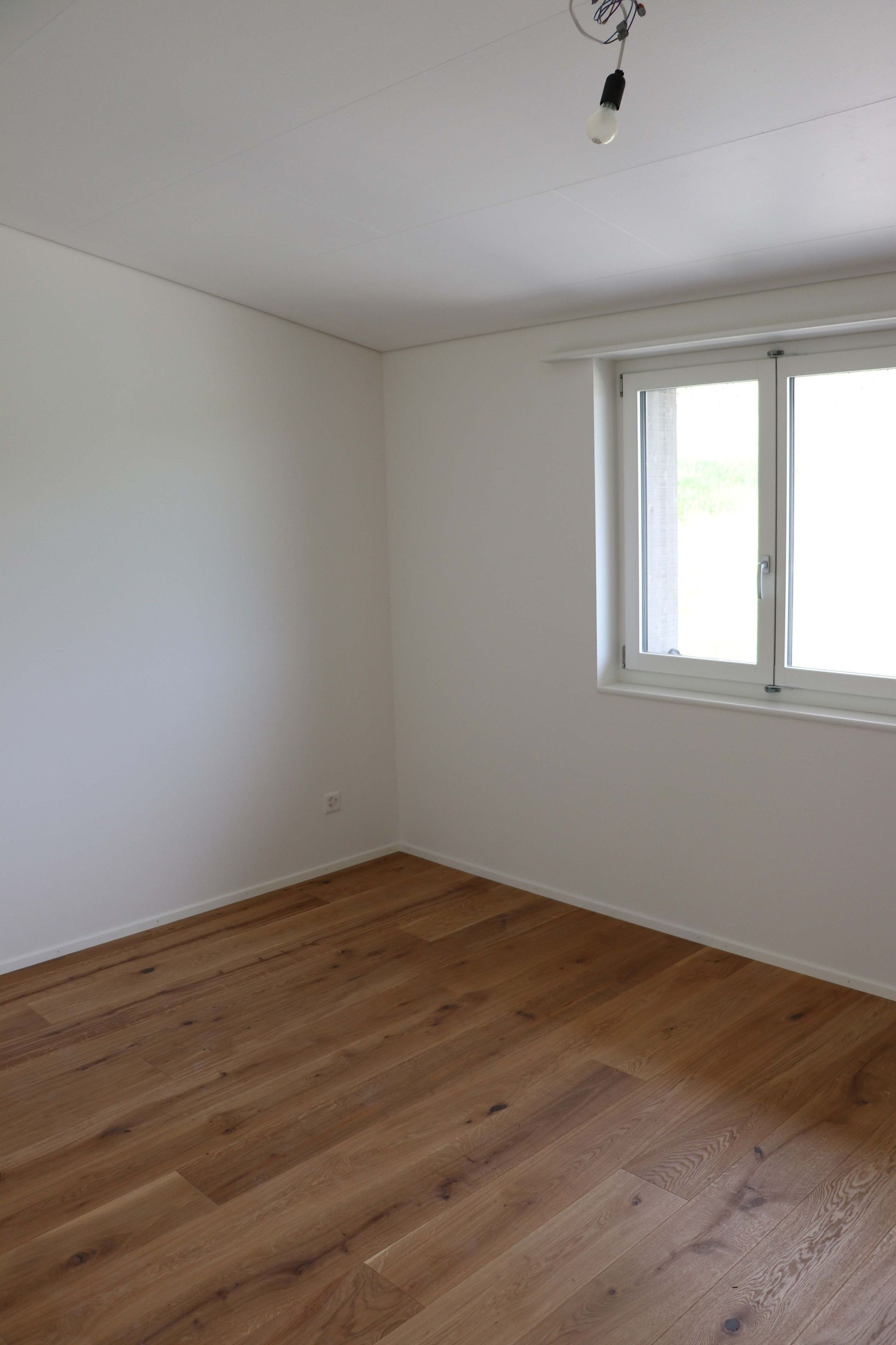 Renovation - Villigen - Riccobono Gipsergeschäft