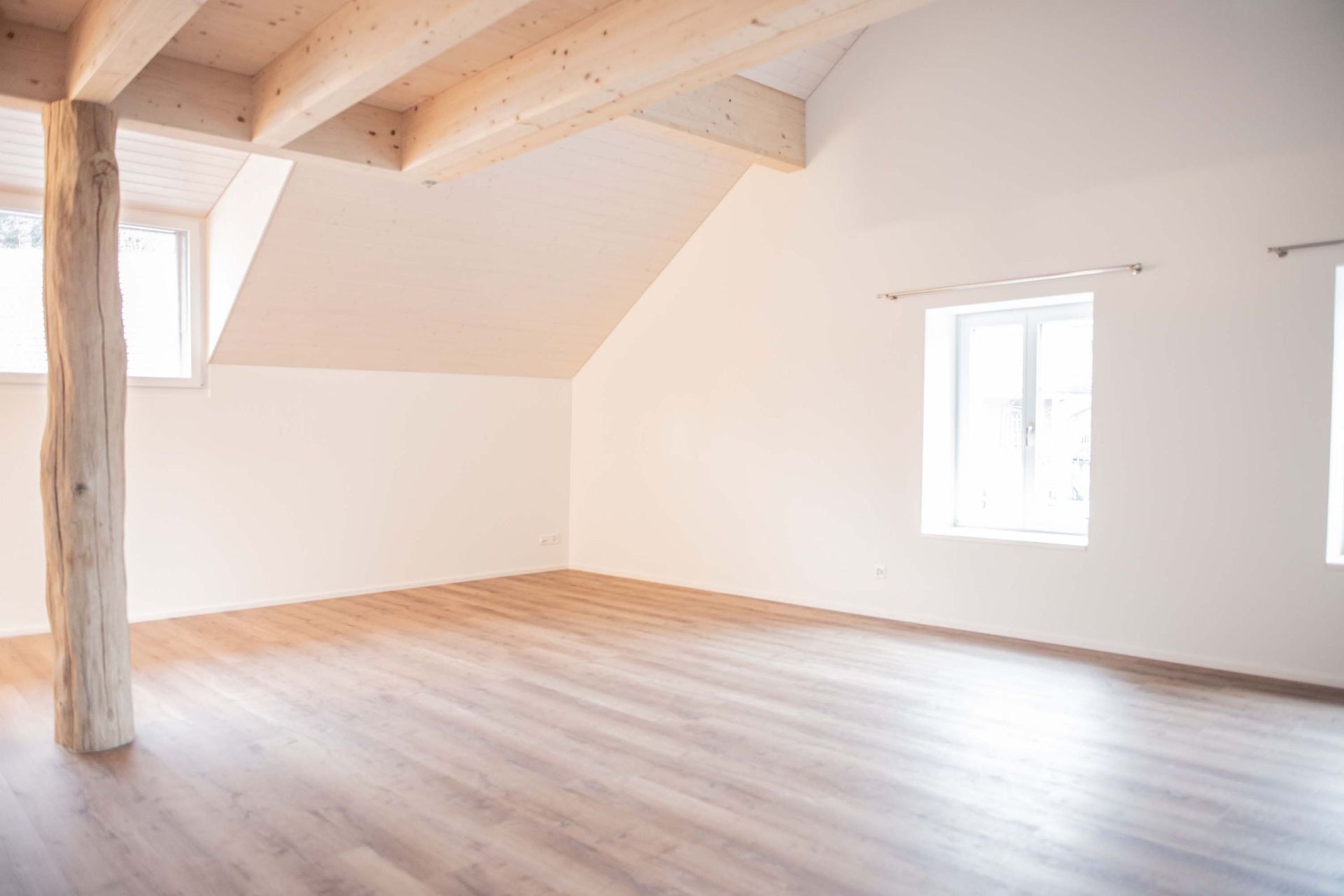 Renovation - Villigen - Riccobono Gipsergeschäft