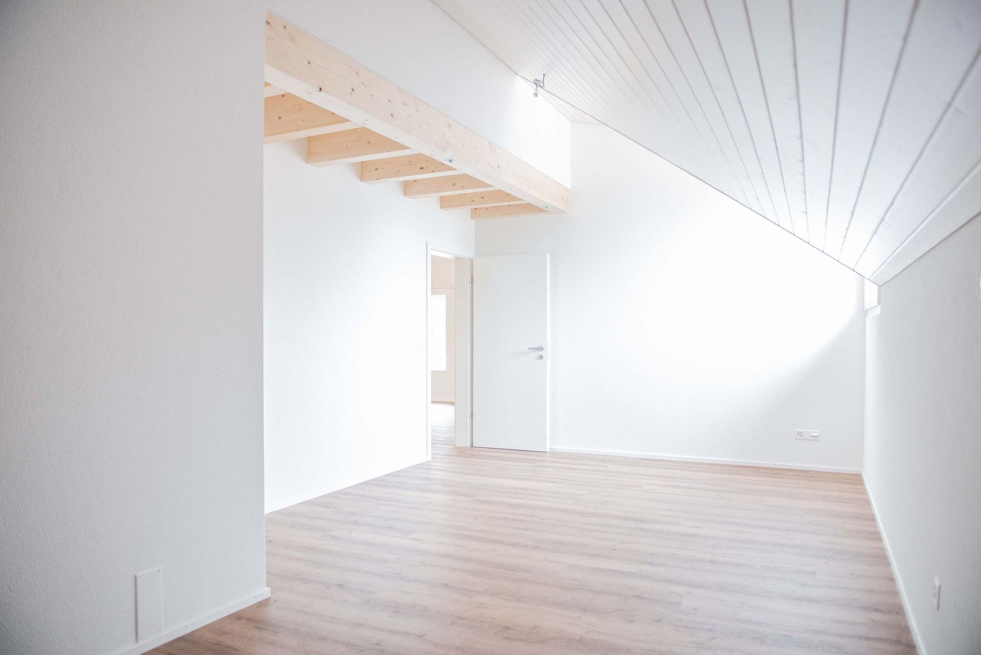 Renovation - Villigen - Riccobono Gipsergeschäft